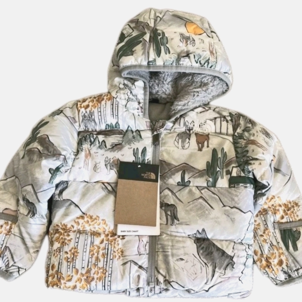 The North Face Baby Down Puffer Jacket 600 Fill Hooded DWR Gorpcore Activewear